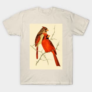 The Cardinals T-Shirt